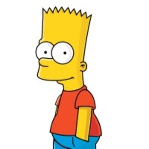 Meet your Posher, Bart